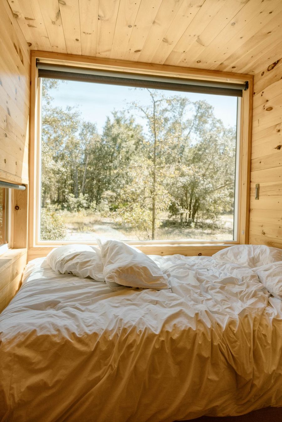 Interior de un alojamiento con ventanal al bosque